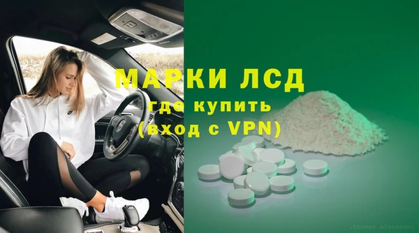 шишки Белокуриха
