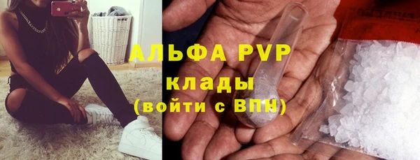 прущие грибы Беломорск