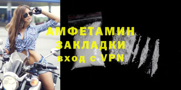прущие грибы Беломорск