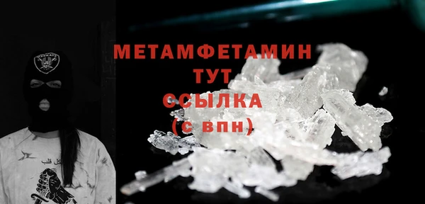 шишки Белокуриха