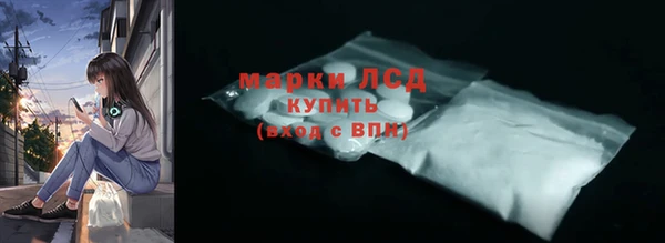 шишки Белокуриха