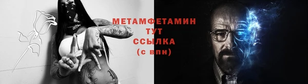 шишки Белокуриха