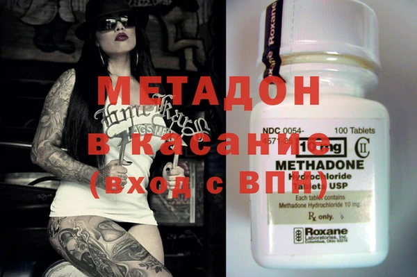 шишки Белокуриха