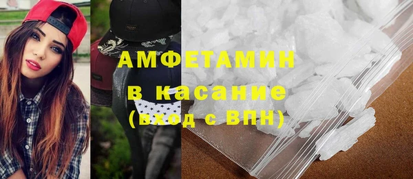 шишки Белокуриха
