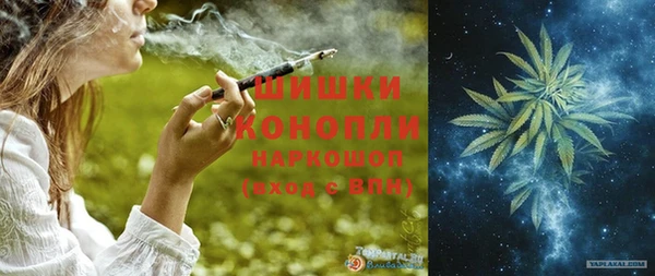 прущие грибы Беломорск