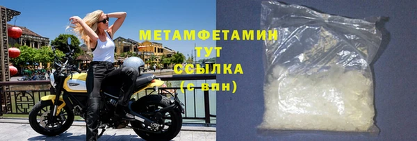 шишки Белокуриха
