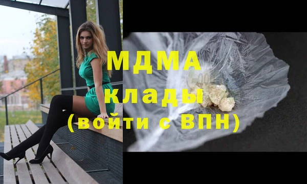 шишки Белокуриха