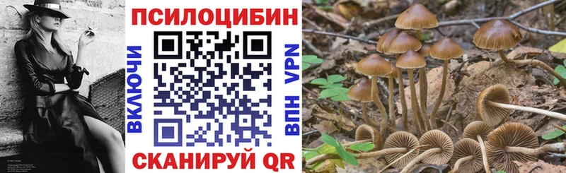 Псилоцибиновые грибы ЛСД  Зеленогорск 